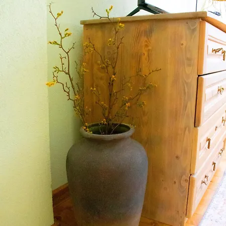 Infinity Boutique 아파트 반스코