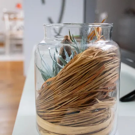 Infinity Boutique Διαμέρισμα Μπάνσκο