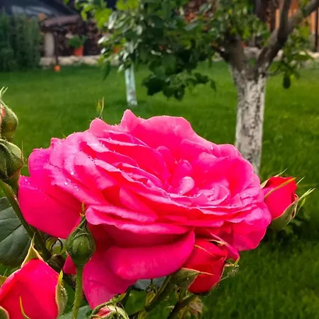 Infinity Boutique Апартаменты *