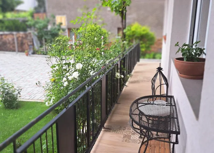 Infinity Boutique * 반스코