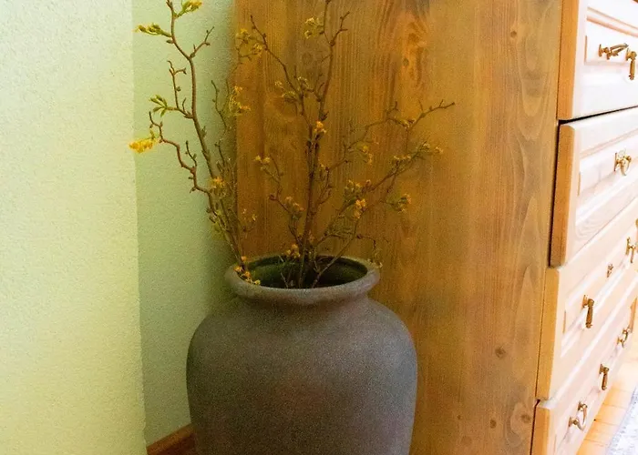 Infinity Boutique דירה בנסקו