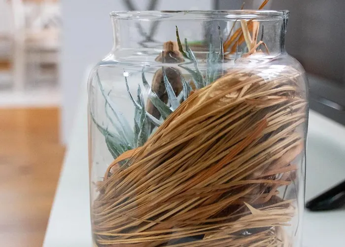 Infinity Boutique דירה בנסקו