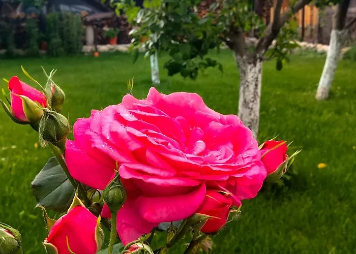 Infinity Boutique 아파트 *