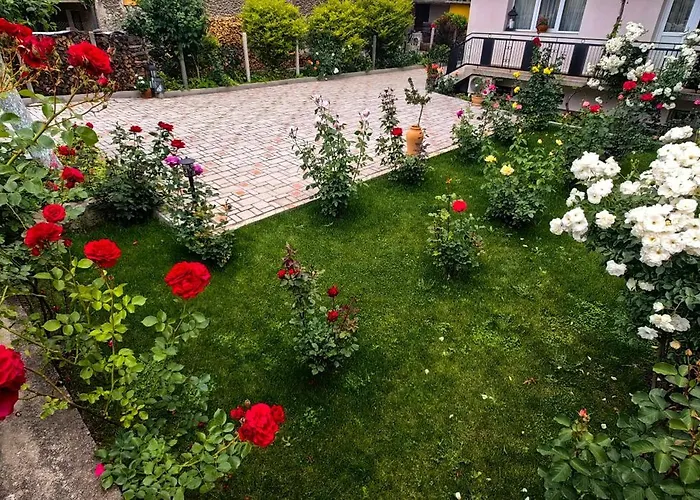 Infinity Boutique * 반스코